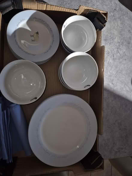 Photo of free 8 piece dinner service farm animals (Dursley area) #4