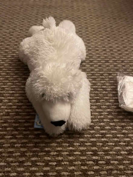 Photo of free Soft cuddley polar bear (B32 Bartley Green) #2