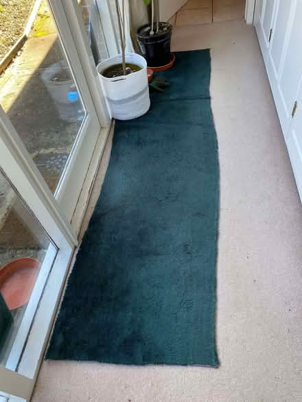 Photo of free Strip of dark green carpet (Upper Wolvercote OX2) #1