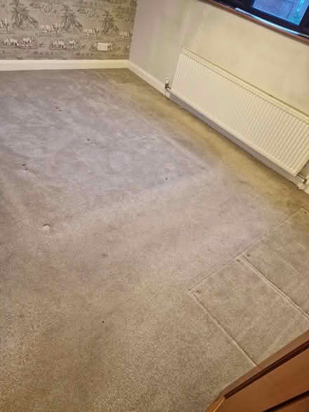 Photo of free Carpet 9ftx10ft.9" plus 17" recess (WF43BD) #1
