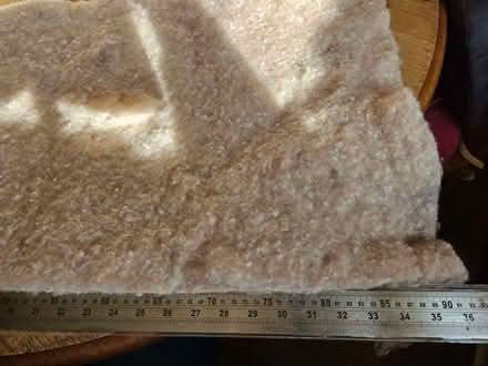 Photo of free Synthetic filler/padding/plant protector (Randwick GL6) #1