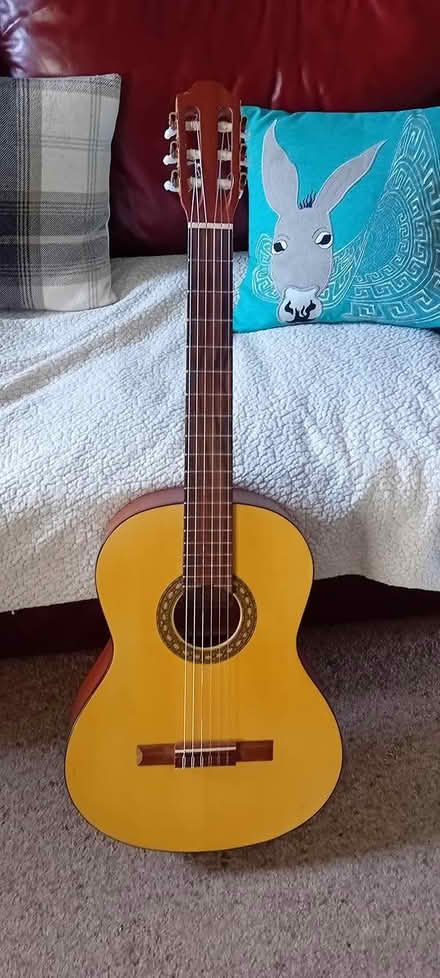 Photo of free Honer classical guitar (Norton) #1