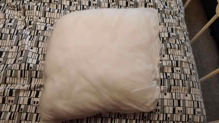Photo of free Cushion pad - 42cm x 42cm (Linslade LU7) #1