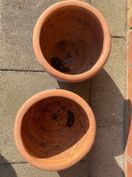 Photo of free Terracotta plant pots x2 (Northfield B31) #2