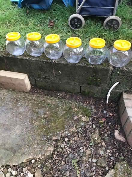 Photo of free 6 jars (Oswestry SY11) #2