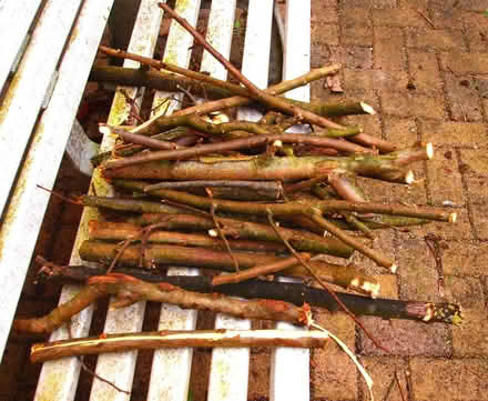 Photo of free Tree branches. Small logs. (Oakwood LS8) #1