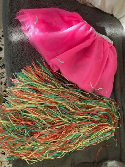 Photo of free World Book Day Costume/ Accessories (Preston TQ3) #1