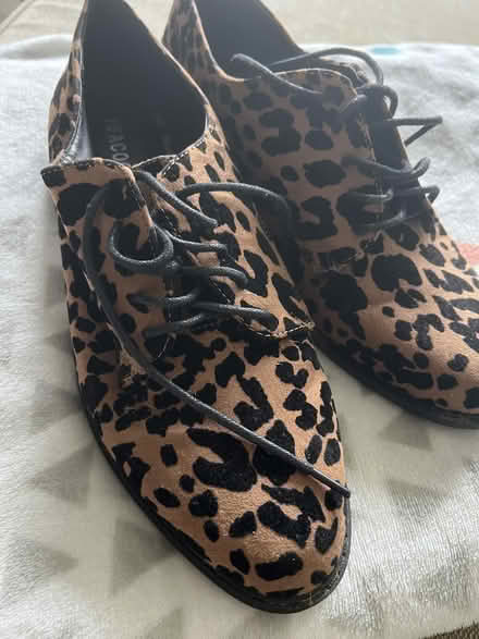 Photo of free Shoes (Willingdon BN22) #2