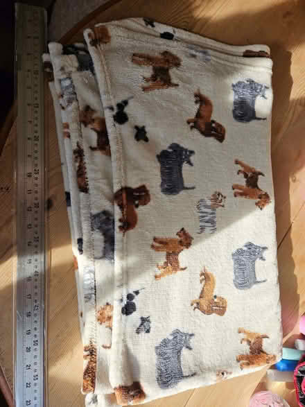 Photo of free Blanket with dog prints on. (Randwick GL6) #1
