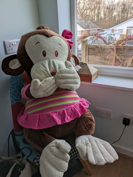 Photo of free Large cuddly toy monkey (Kingston Bagpuize OX13) #1