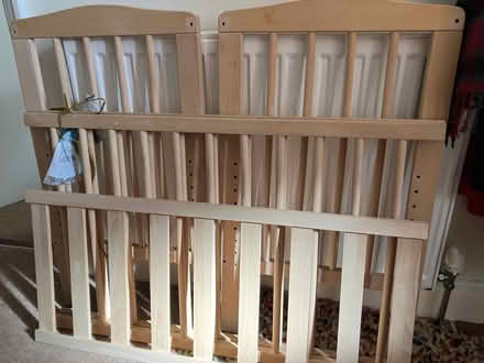 Photo of free Cot (Belmont TN35) #1