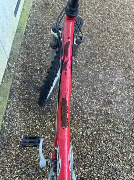 Photo of free Large Child’s Bike (TN23) #3