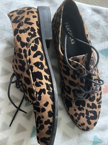 Photo of free Shoes (Willingdon BN22) #1