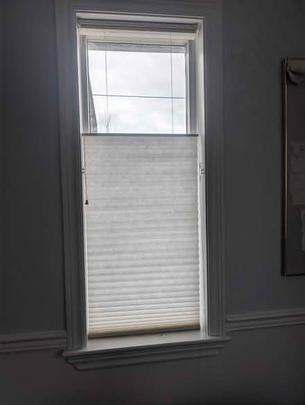 Photo of free Corded cellular blinds 19" wide (Downsview at Keele and Wilson) #1