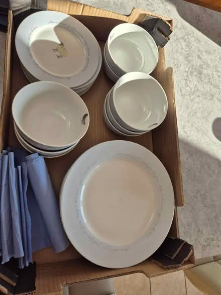 Photo of free 8 piece dinner service farm animals (Dursley area) #1