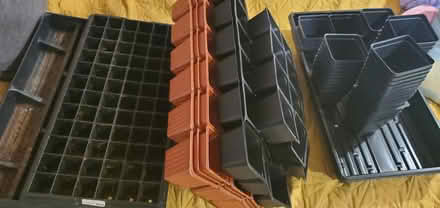 Photo of free Seed starting supplies (Boonton) #1