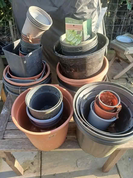 Photo of free Plastic plant pots (Buxted TN22) #1