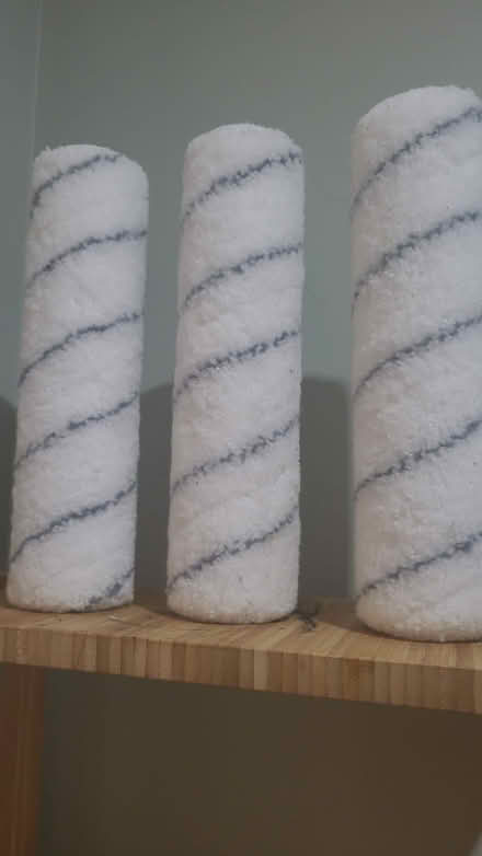 Photo of free Filler (powder and liquid) / rolls (Bow E3) #2