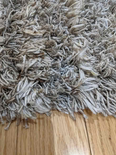 Photo of free Approx 5 x 7 rug (McKellar Park/Westboro) #2
