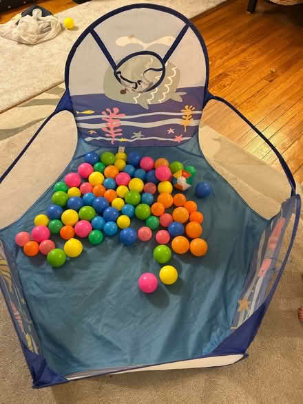 Photo of free Plastic ball pit (20912) #1