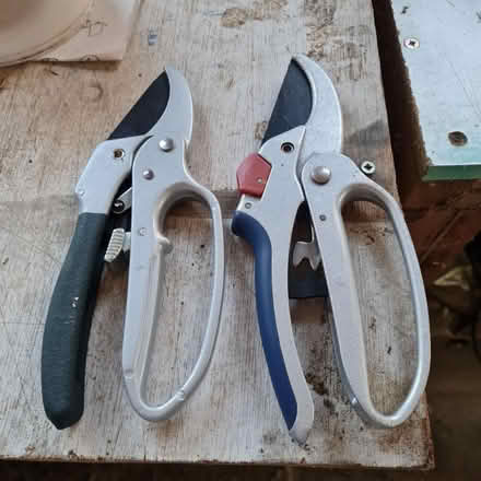 Photo of free Secateurs (Newport Pagnell MK16) #1
