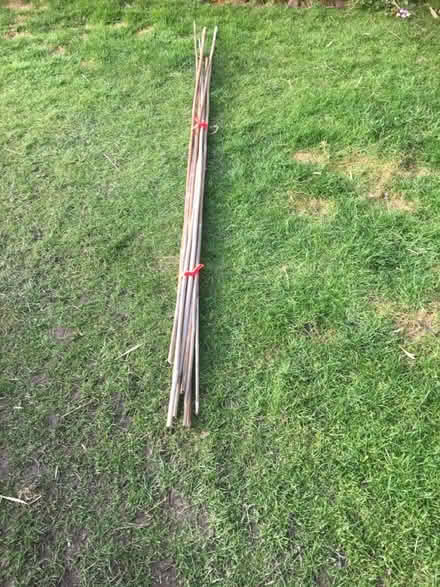 Photo of free Bamboo canes (Fordhouses WV10) #1