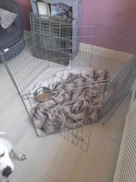 Photo of free Dog cage (Offerton SK2) #1