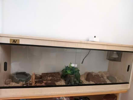 Photo of free Vivarium and Corn Snake (Willen MK15) #1