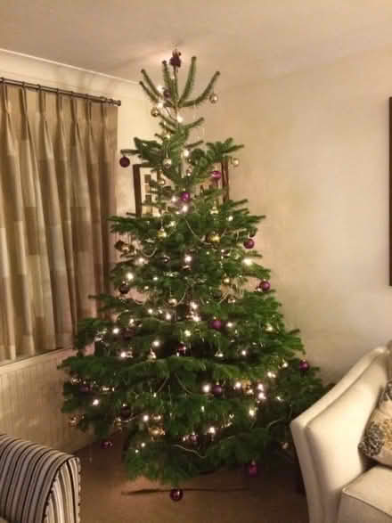 Photo of free John Lewis Made to measure curtains (Crowthorne RG45) #1