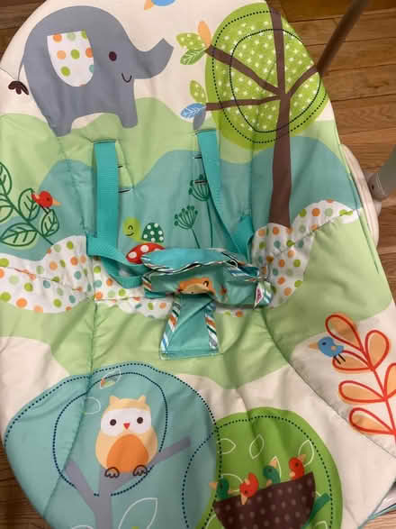 Photo of free Baby swing (Rutherglen) #2