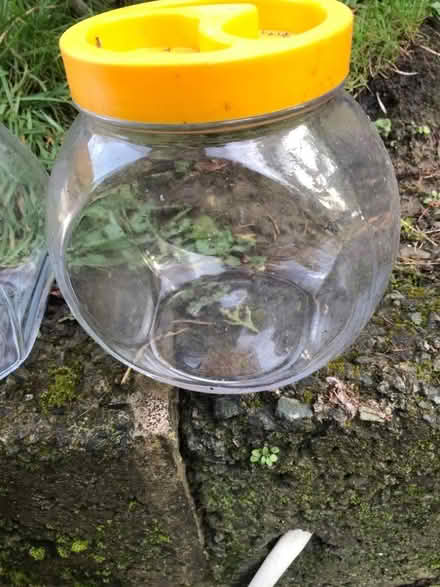 Photo of free 6 jars (Oswestry SY11) #1