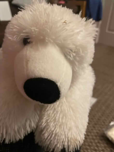 Photo of free Soft cuddley polar bear (B32 Bartley Green) #1