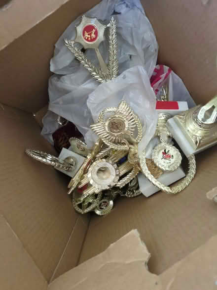 Photo of free Trophies (DA1) #2
