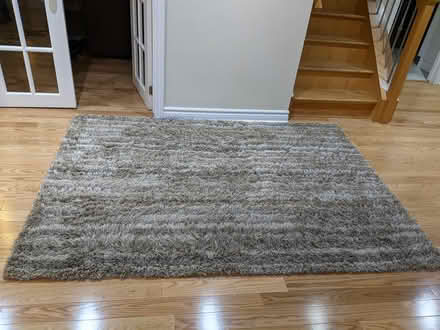 Photo of free Approx 5 x 7 rug (McKellar Park/Westboro) #1