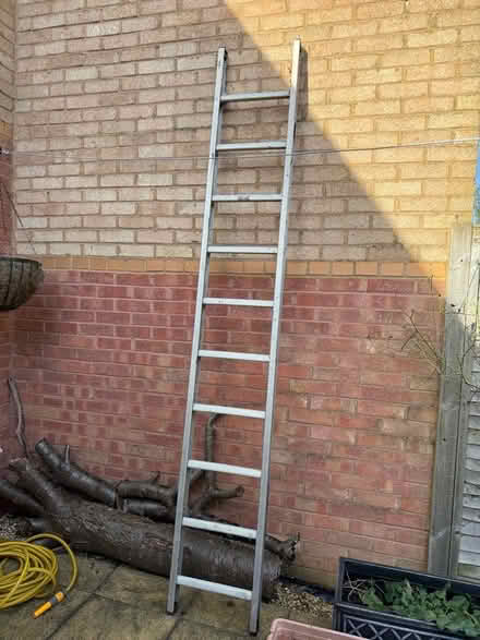 Photo of free Ladder - 2.7 metres (Bolbeck Park MK15) #1