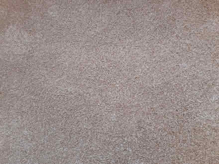 Photo of free New oatmeal carpet offcut pieces (Warwick CV34) #1