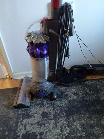 Photo of free Dyson Animal (GU14) #1