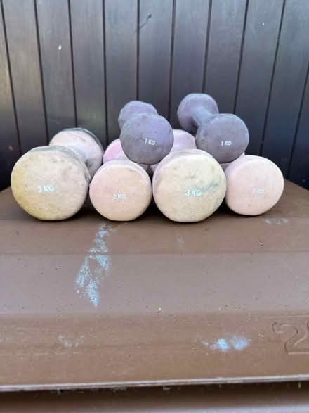 Photo of free Hand weights (Ascot SL5) #2