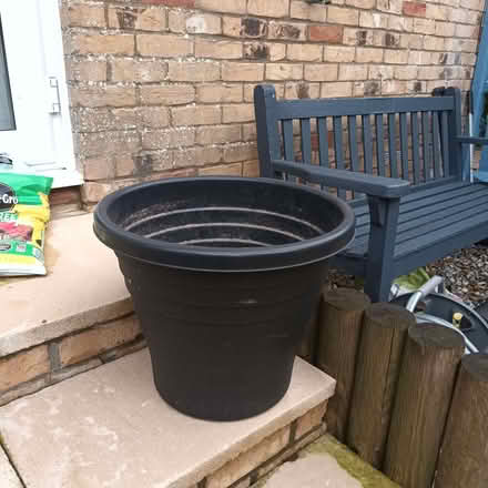 Photo of free Big black plant pot (Langney BN23) #1