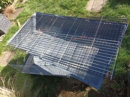 Photo of free Rabbit/guinea pig cage (Chippenham SN15) #2