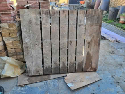 Photo of free Pallets (Temple Street OX4) #1
