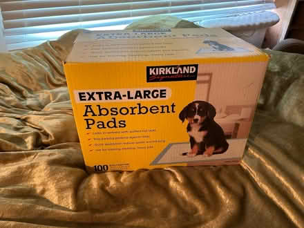 Photo of free XL absorbent pads (unopened) (Highland Park/Eagle Rock) #1