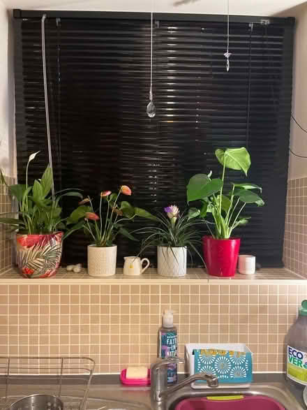 Photo of free Black Venetian Blind - metal (Dursley GL11) #2