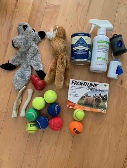 Photo of free Small dog items (Bolton, MA) #1