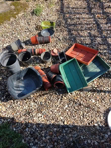 Photo of free Plant pots trays (Alresford CO7) #3
