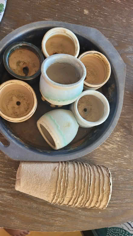 Photo of free Plants - Mini pots (Bow E3) #1