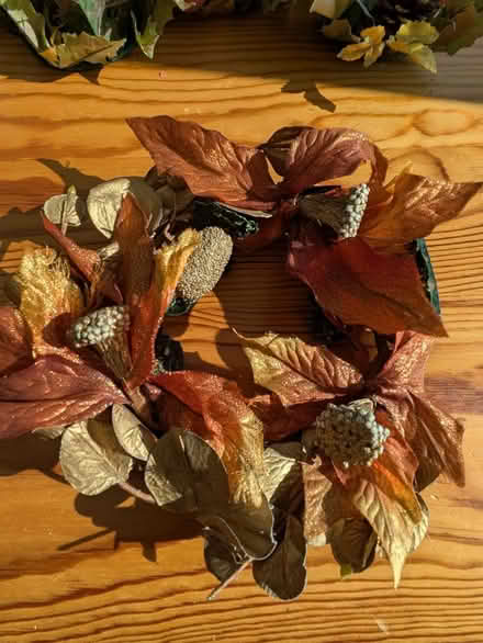 Photo of free 2 x Christmas wreaths (Seaford BN25) #2