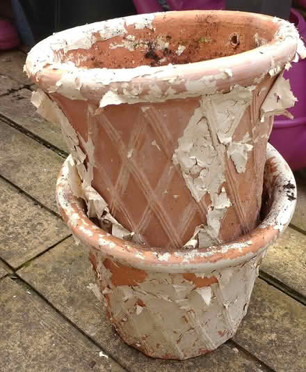 Photo of free 4 small terracotta pots (Sydenham, SE26) #1