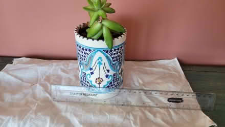 Photo of free Plants (Bow E3) #4