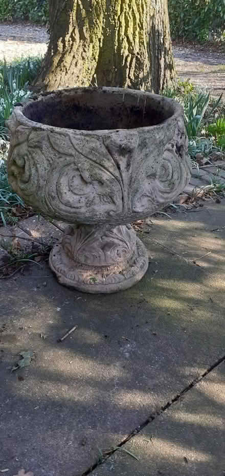 Photo of free Large concrete planter (Stapleford NG9) #1